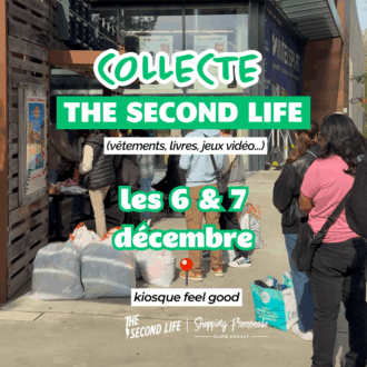 the second life